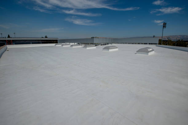 Best Metal Roofing Installation  in Atlantis, FL
