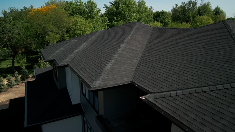 Best Solar Panel Roofing Installation  in Atlantis, FL