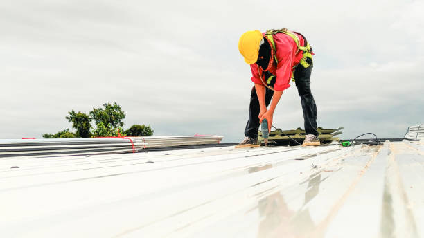 Best Gutter Installation and Repair  in Atlantis, FL