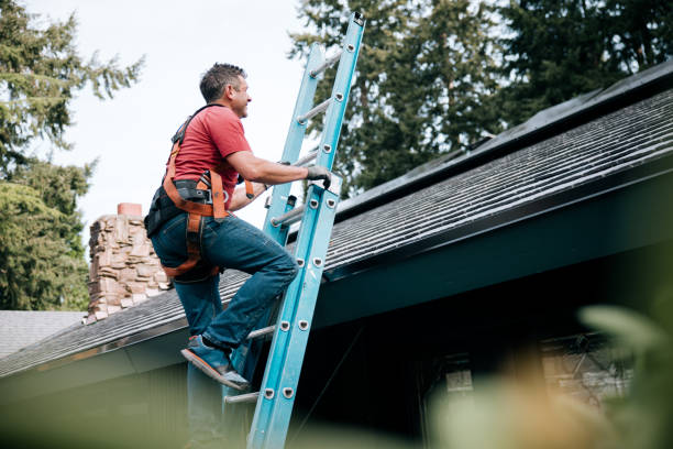 Best Skylight Installation and Repair  in Atlantis, FL